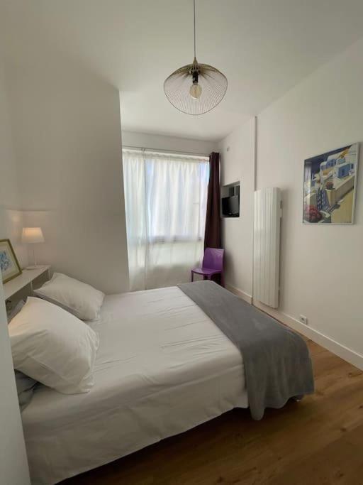 Appartement Neuf, T3, Route Des Sanguinaires *