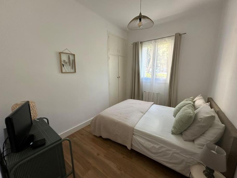 Neuf, T3, Route Des Sanguinaires Appartement *